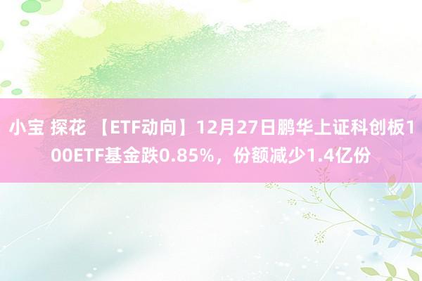 小宝 探花 【ETF动向】12月27日鹏华上证科创板100ETF基金跌0.85%，份额减少1.4亿份