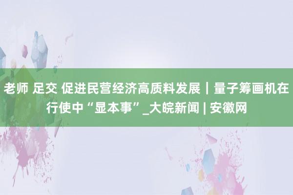 老师 足交 促进民营经济高质料发展｜量子筹画机在行使中“显本事”_大皖新闻 | 安徽网