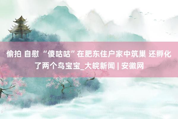 偷拍 自慰 ﻿“傻咕咕”在肥东住户家中筑巢 还孵化了两个鸟宝宝_大皖新闻 | 安徽网