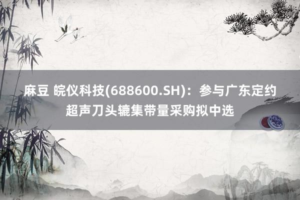 麻豆 皖仪科技(688600.SH)：参与广东定约超声刀头辘集带量采购拟中选