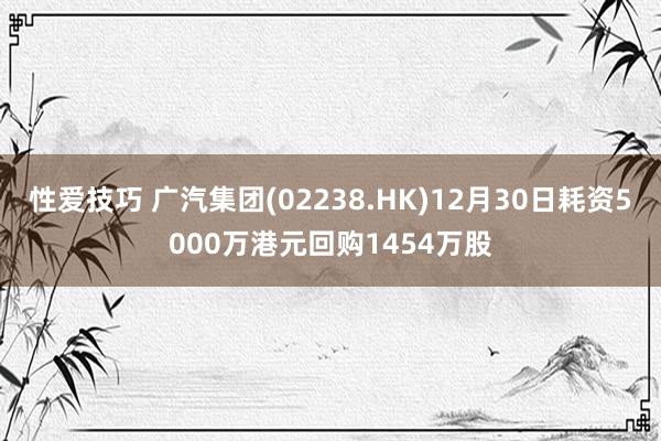 性爱技巧 广汽集团(02238.HK)12月30日耗资5000万港元回购1454万股