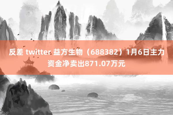 反差 twitter 益方生物（688382）1月6日主力资金净卖出871.07万元