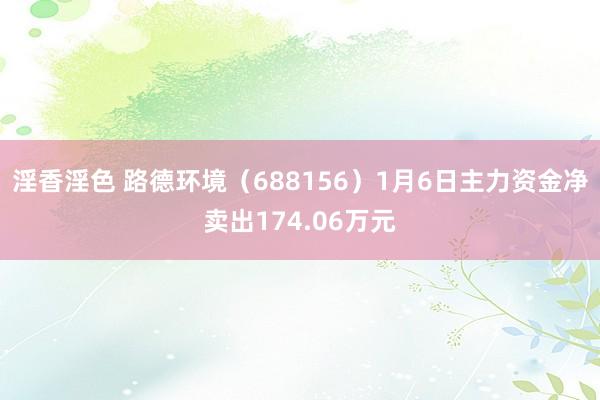 淫香淫色 路德环境（688156）1月6日主力资金净卖出174.06万元