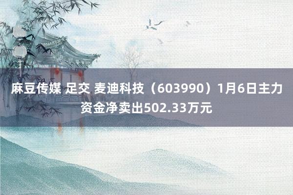 麻豆传媒 足交 麦迪科技（603990）1月6日主力资金净卖出502.33万元