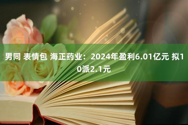 男同 表情包 海正药业：2024年盈利6.01亿元 拟10派2.1元