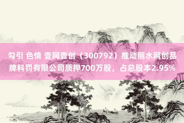 勾引 色情 壹网壹创（300792）推动丽水网创品牌科罚有限公司质押700万股，占总股本2.95%