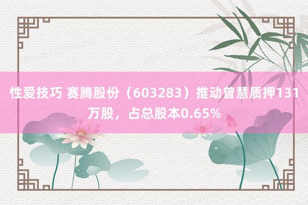 性爱技巧 赛腾股份（603283）推动曾慧质押131万股，占总股本0.65%