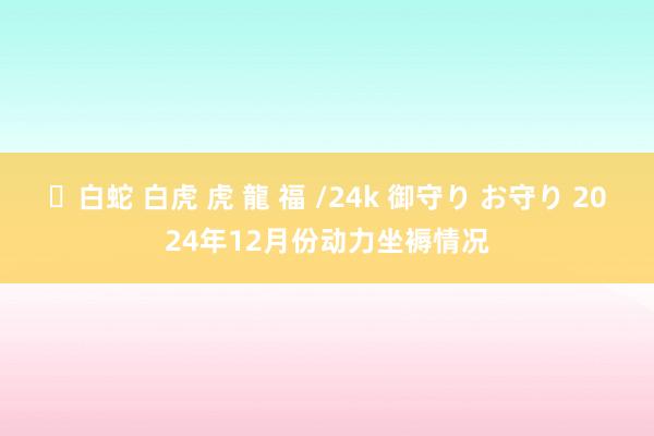 ✨白蛇 白虎 虎 龍 福 /24k 御守り お守り 2024年12月份动力坐褥情况