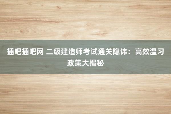 插吧插吧网 二级建造师考试通关隐讳：高效温习政策大揭秘