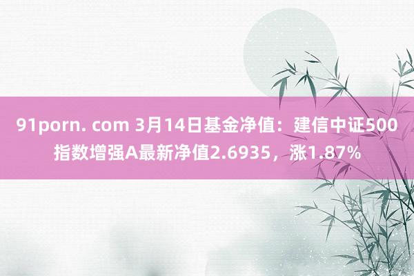 91porn. com 3月14日基金净值：建信中证500指数增强A最新净值2.6935，涨1.87%