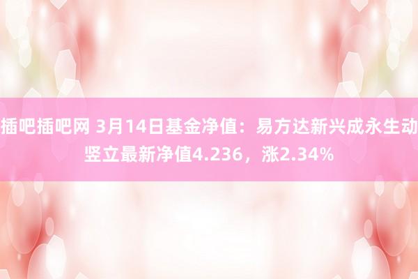 插吧插吧网 3月14日基金净值：易方达新兴成永生动竖立最新净值4.236，涨2.34%