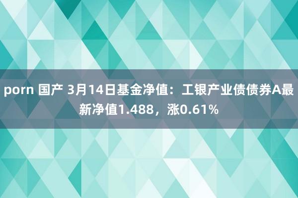 porn 国产 3月14日基金净值：工银产业债债券A最新净值1.488，涨0.61%