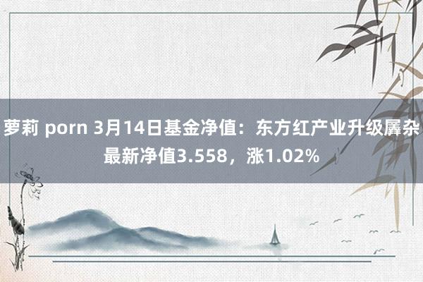 萝莉 porn 3月14日基金净值：东方红产业升级羼杂最新净值3.558，涨1.02%