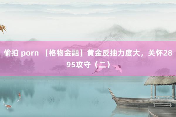 偷拍 porn 【格物金融】黄金反抽力度大，关怀2895攻守（二）