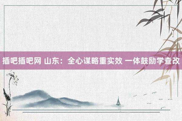 插吧插吧网 山东：全心谋略重实效 一体鼓励学查改