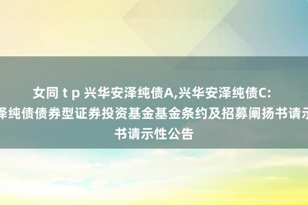 女同 t p 兴华安泽纯债A,兴华安泽纯债C: 兴华安泽纯债债券型证券投资基金基金条约及招募阐扬书请示性公告