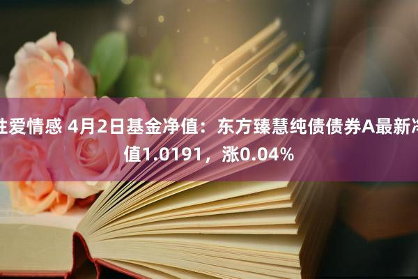 性爱情感 4月2日基金净值：东方臻慧纯债债券A最新净值1.0191，涨0.04%