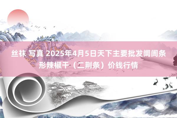 丝袜 写真 2025年4月5日天下主要批发阛阓条形辣椒干（二荆条）价钱行情
