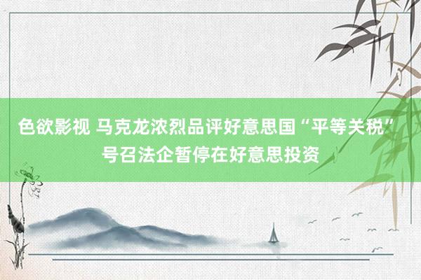 色欲影视 马克龙浓烈品评好意思国“平等关税” 号召法企暂停在好意思投资