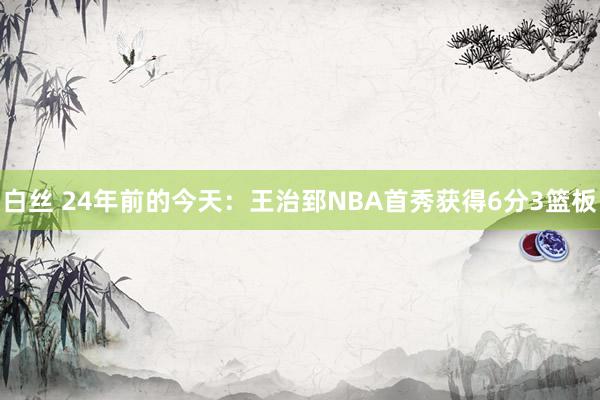 白丝 24年前的今天：王治郅NBA首秀获得6分3篮板