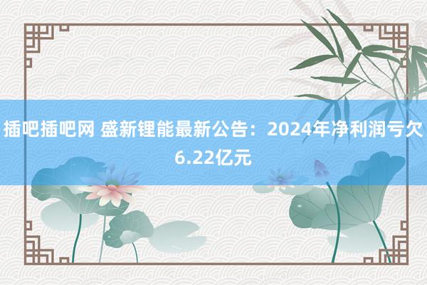 插吧插吧网 盛新锂能最新公告：2024年净利润亏欠6.22亿元