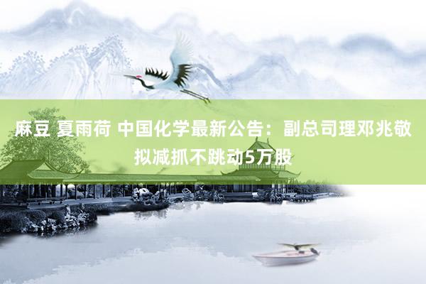 麻豆 夏雨荷 中国化学最新公告：副总司理邓兆敬拟减抓不跳动5万股