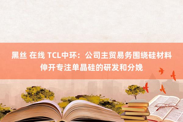 黑丝 在线 TCL中环：公司主贸易务围绕硅材料伸开专注单晶硅的研发和分娩