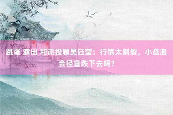 跳蛋 露出 和讯投顾吴钰莹：行情太割裂，小盘股会径直跌下去吗？