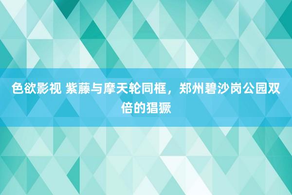 色欲影视 紫藤与摩天轮同框，郑州碧沙岗公园双倍的猖獗