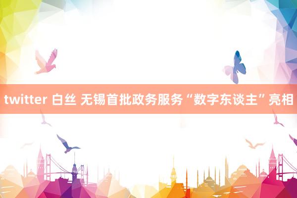 twitter 白丝 无锡首批政务服务“数字东谈主”亮相