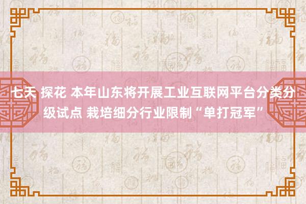 七天 探花 本年山东将开展工业互联网平台分类分级试点 栽培细分行业限制“单打冠军”