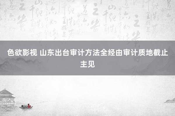 色欲影视 山东出台审计方法全经由审计质地截止主见