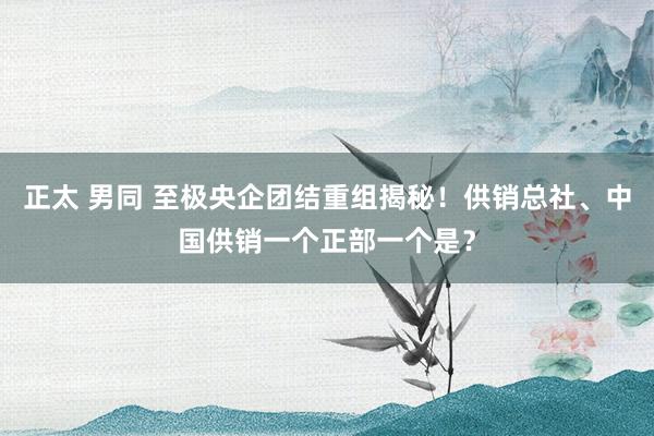 正太 男同 至极央企团结重组揭秘！供销总社、中国供销一个正部一个是？