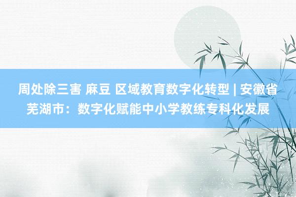 周处除三害 麻豆 区域教育数字化转型 | 安徽省芜湖市：数字化赋能中小学教练专科化发展
