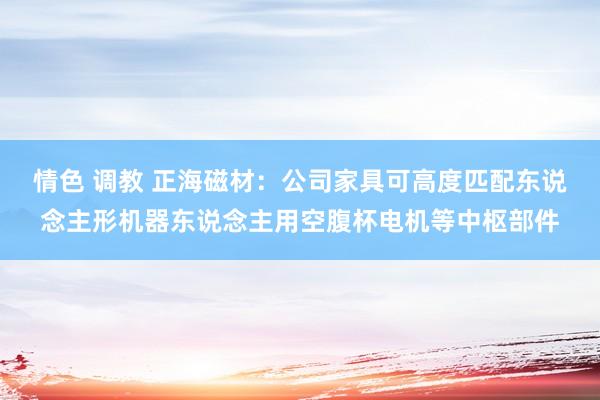 情色 调教 正海磁材：公司家具可高度匹配东说念主形机器东说念主用空腹杯电机等中枢部件