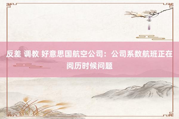 反差 调教 好意思国航空公司：公司系数航班正在阅历时候问题