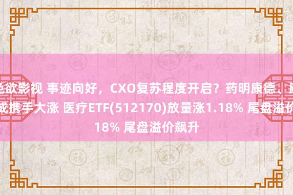 色欲影视 事迹向好，CXO复苏程度开启？药明康德、康龙化成携手大涨 医疗ETF(512170)放量涨1.18% 尾盘溢价飙升