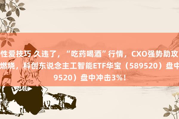 性爱技巧 久违了，“吃药喝酒”行情，CXO强势助攻！AI芯片燃烧，科创东说念主工智能ETF华宝（589520）盘中冲击3%！