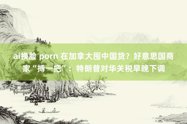 ai换脸 porn 在加拿大囤中国货？好意思国商家“搏一把”：特朗普对华关税早晚下调