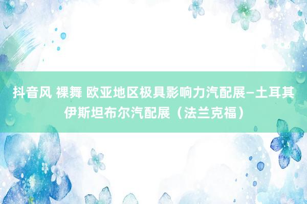 抖音风 裸舞 欧亚地区极具影响力汽配展—土耳其伊斯坦布尔汽配展（法兰克福）