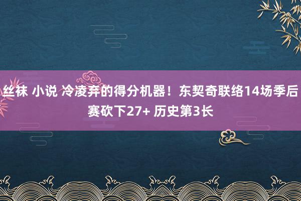 丝袜 小说 冷凌弃的得分机器！东契奇联络14场季后赛砍下27+ 历史第3长