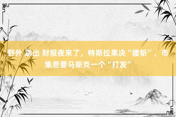 野外 露出 财报夜来了，特斯拉果决“腰斩”，市集思要马斯克一个“打发”