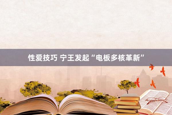 性爱技巧 宁王发起“电板多核革新”