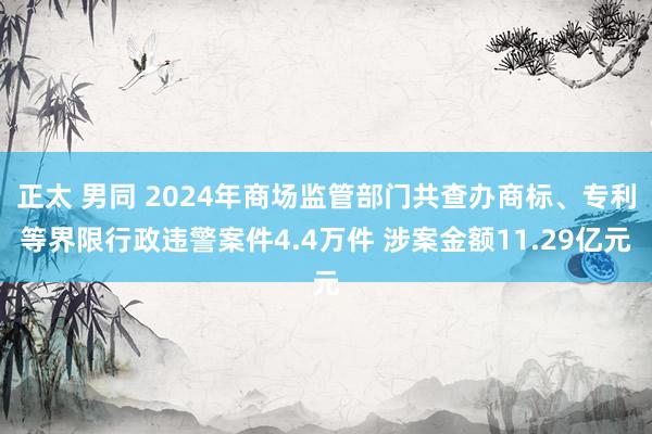 正太 男同 2024年商场监管部门共查办商标、专利等界限行政违警案件4.4万件 涉案金额11.29亿元