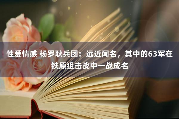 性爱情感 杨罗耿兵团：远近闻名，其中的63军在铁原狙击战中一战成名