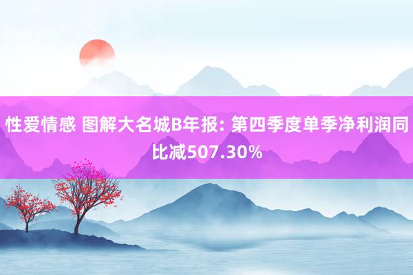 性爱情感 图解大名城B年报: 第四季度单季净利润同比减507.30%